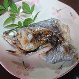 【釣り魚料理】タチウオの兜焼き